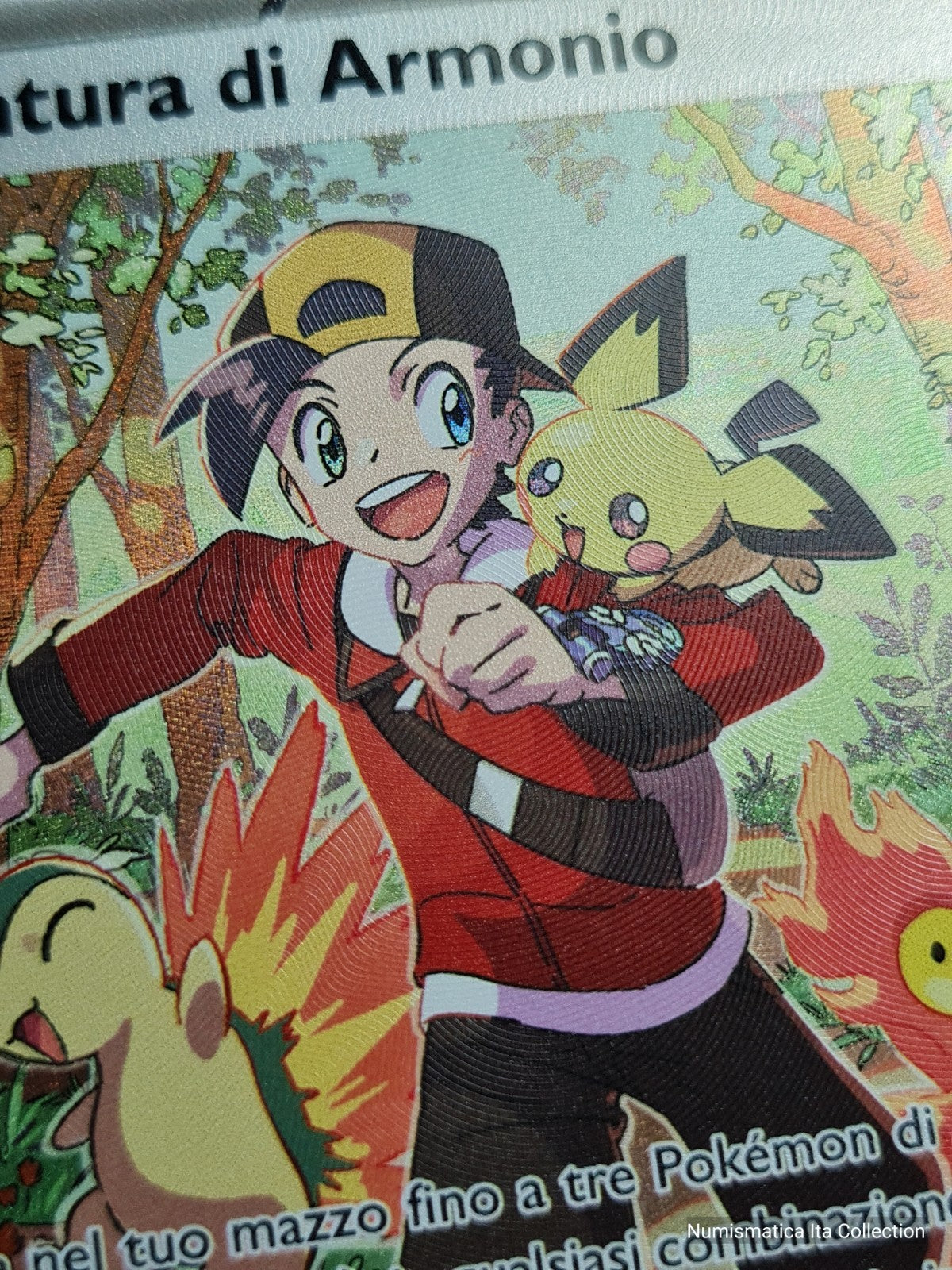 Image #8
