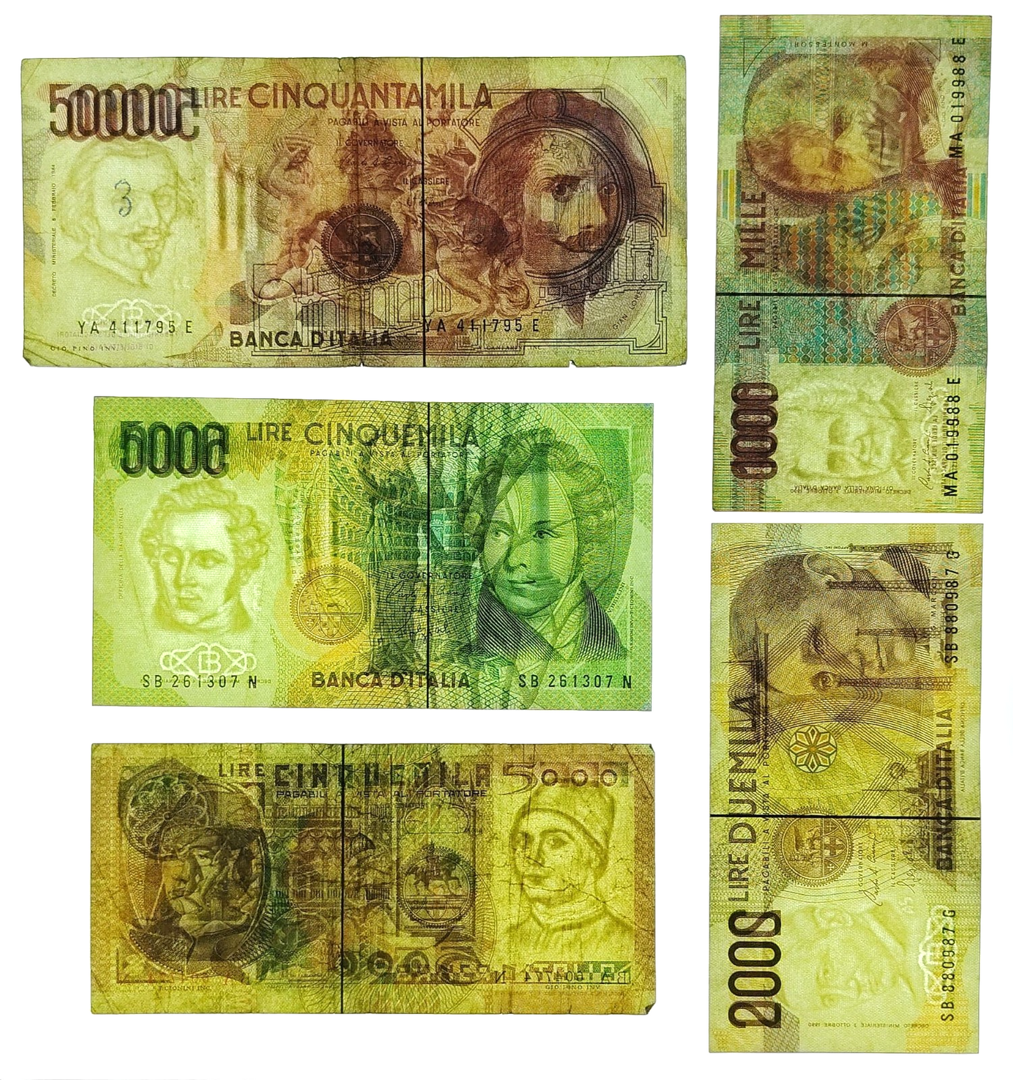 Image #5