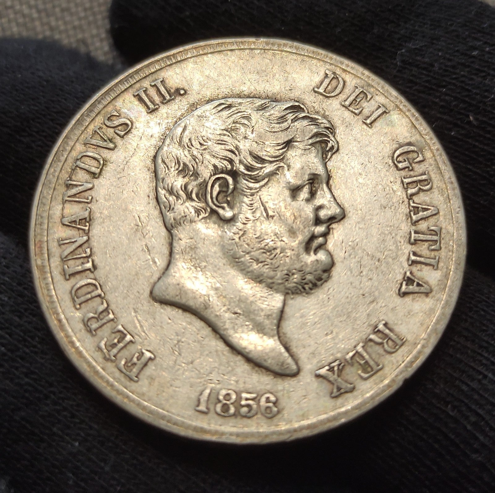 Image #3